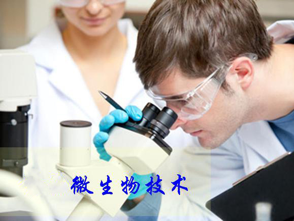 现代化微生物技术概括