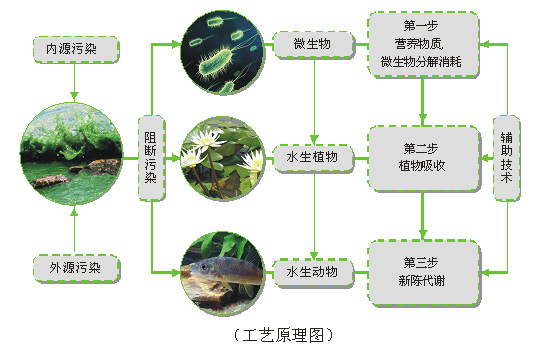 人工湿地污水处理技术的优点与缺点